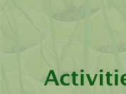Activities