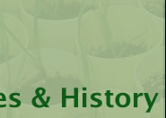 & History